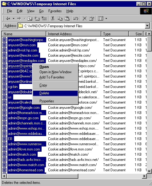WindowsTemporaryInternetFiles.jpg (314945 bytes)