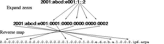 Mapping an IPv6 address into a DNS name